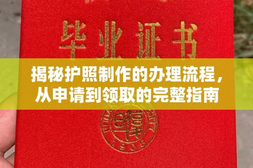 揭东揭秘护照制作的办理流程，从申请到领取的完整指南